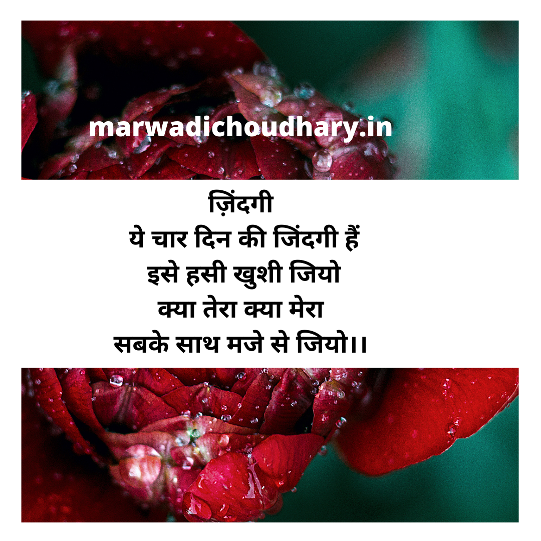 Love Poem in Hindi
