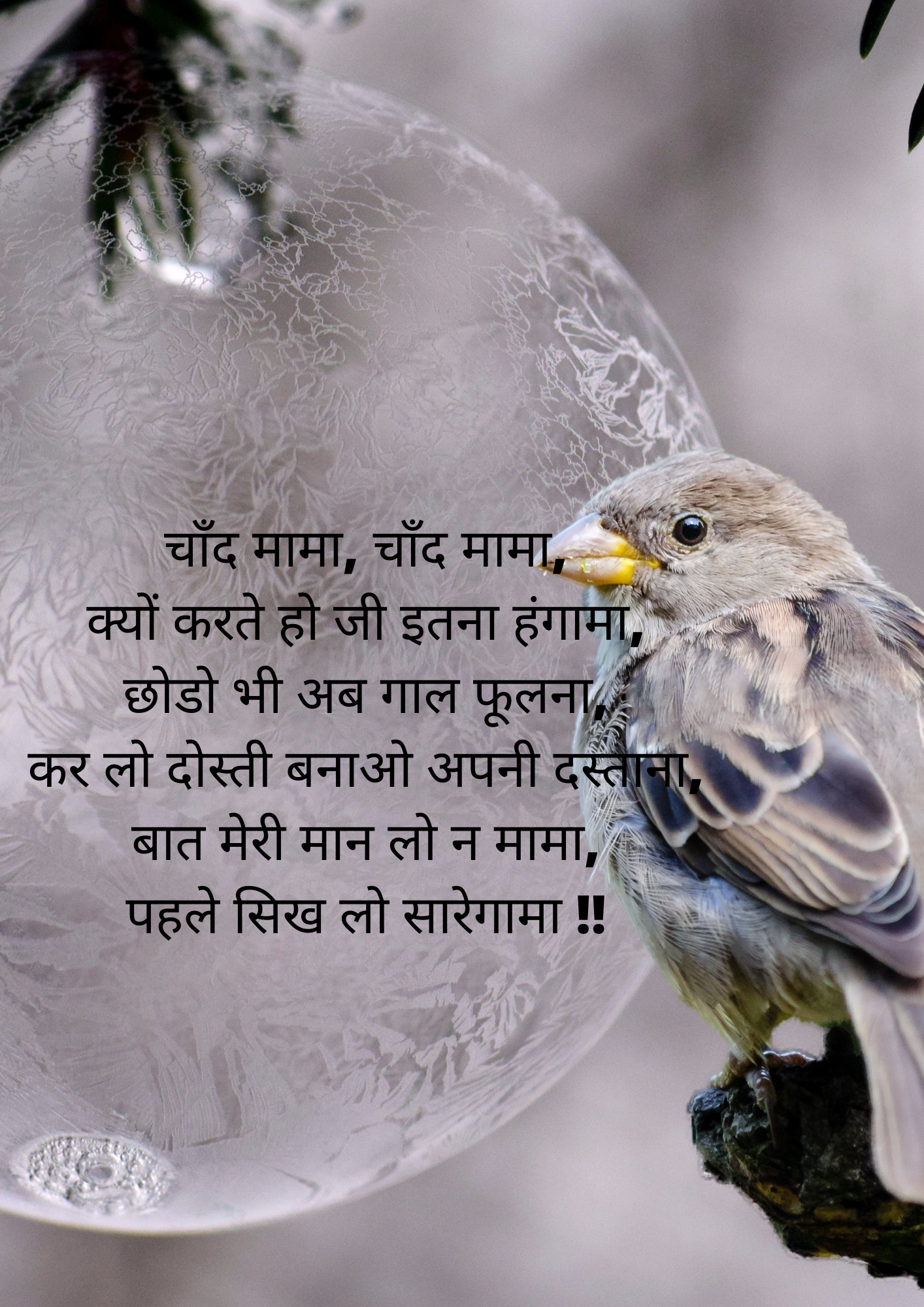 Best! Poem On Birds